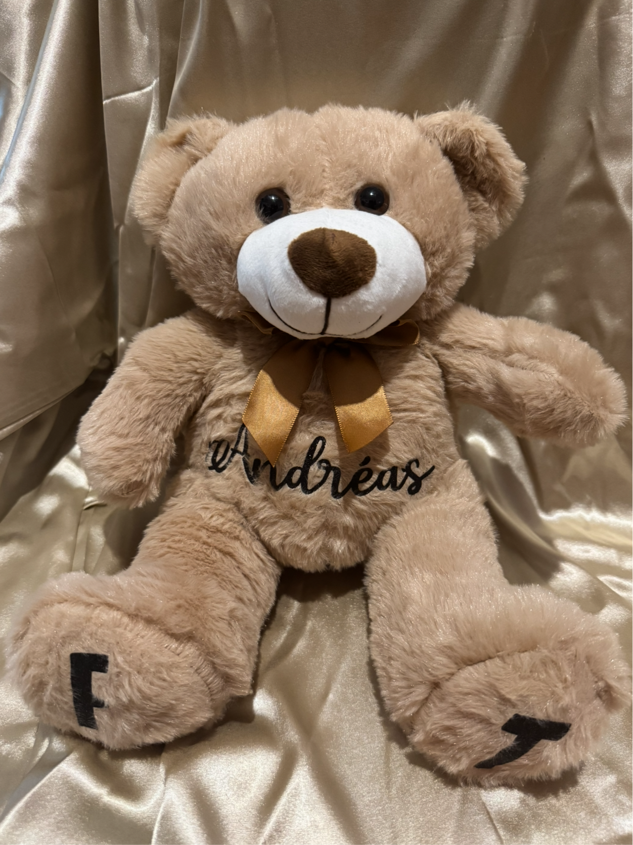 Ourson en peluche personnalisable